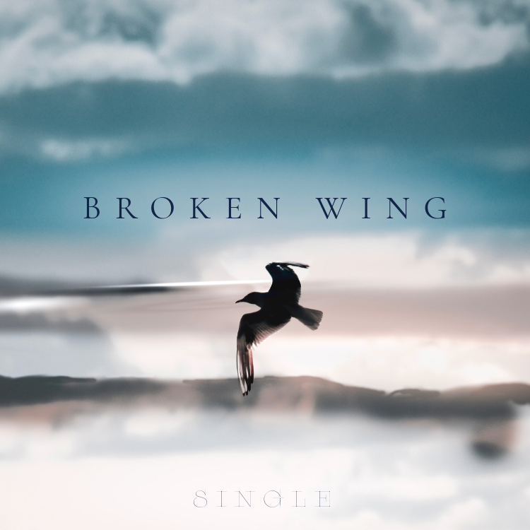New Flight – Broken Wing