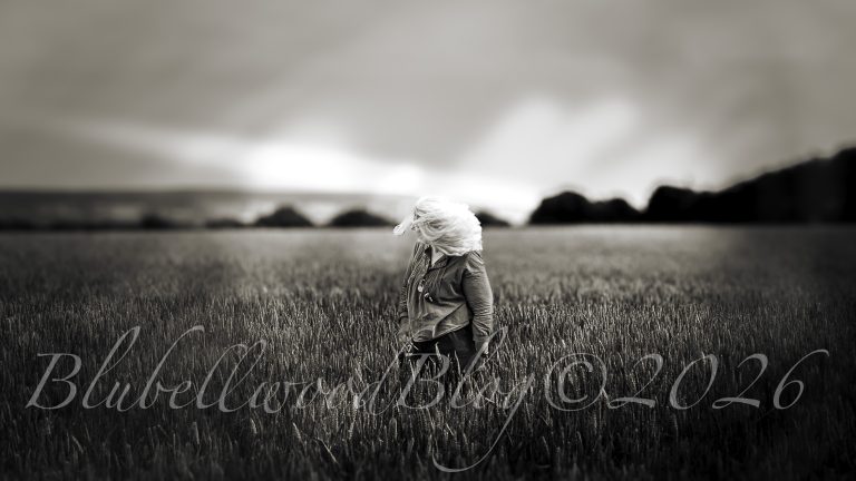 Monthly Creative Update | July 2026 Quiet Progress, New Horizons and Unexpected Milestones